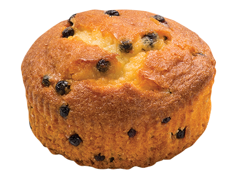 Blueberry Muffin (Single Serve)